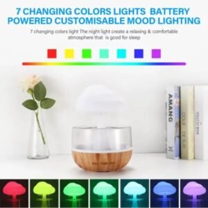 Rain Cloud 2 in 1 Raindrop Humidifier with 7 Colors Night Light